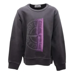 77166 Sweatshirt>Stone Island
