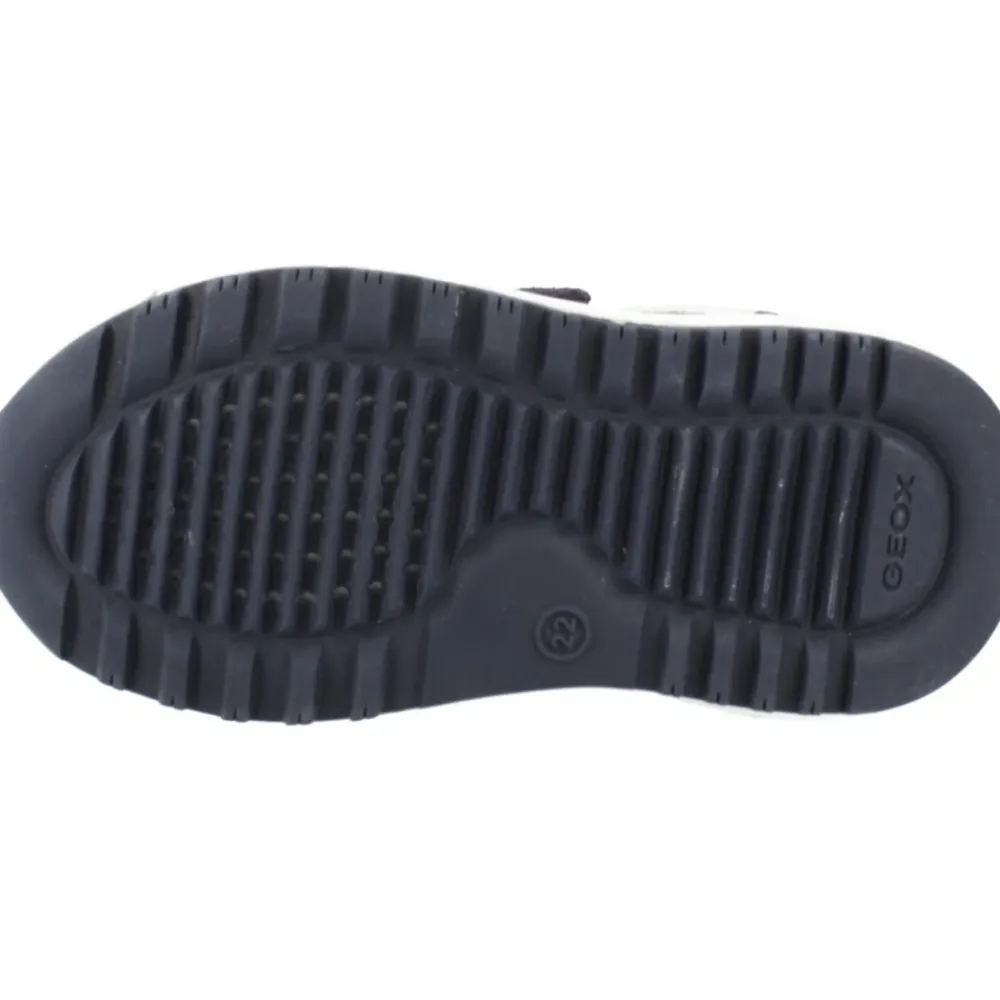 Alben Sneaker>Geox Online