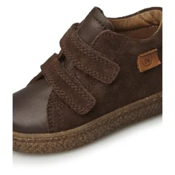 ALBUS VL><noscript><img width=