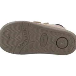 B500 Raul><noscript><img width=