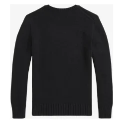 Baumwoll Crew Neck Polo Bear Pullover>Polo Ralph Lauren Outlet