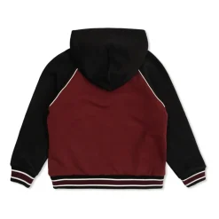 Baumwollmischung Logo-Hoodie>Dolce & Gabbana Hot