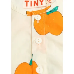 Bedruckter Body><noscript><img width=