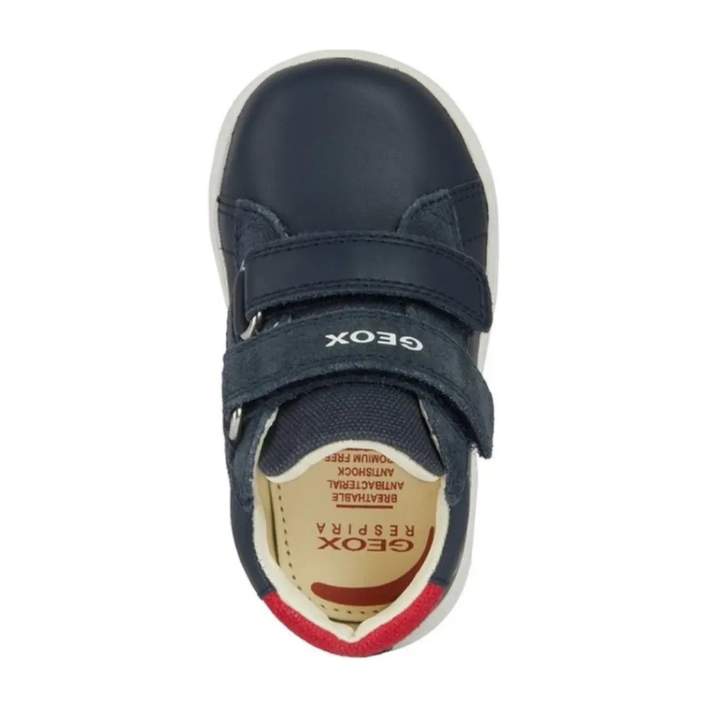 e Erste Schritte Jungen Sneakers>Geox Outlet