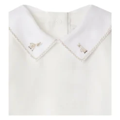 Body mit Kragen><noscript><img width=