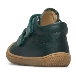 Cocoon VL><noscript><img width=