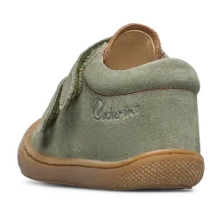 Cocoon VL><noscript><img width=