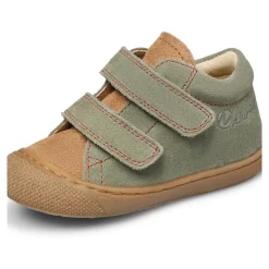 Cocoon VL><noscript><img width=