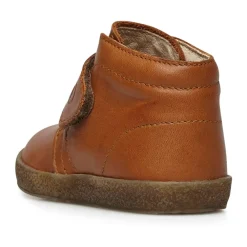 Conte VL><noscript><img width=