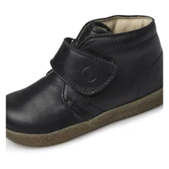 Conte VL><noscript><img width=