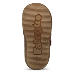 Conte VL><noscript><img width=