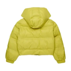 Cropped Hooded Padded Jacket>Marni