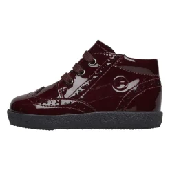 Cupido Schnürstiefel>Falcotto New