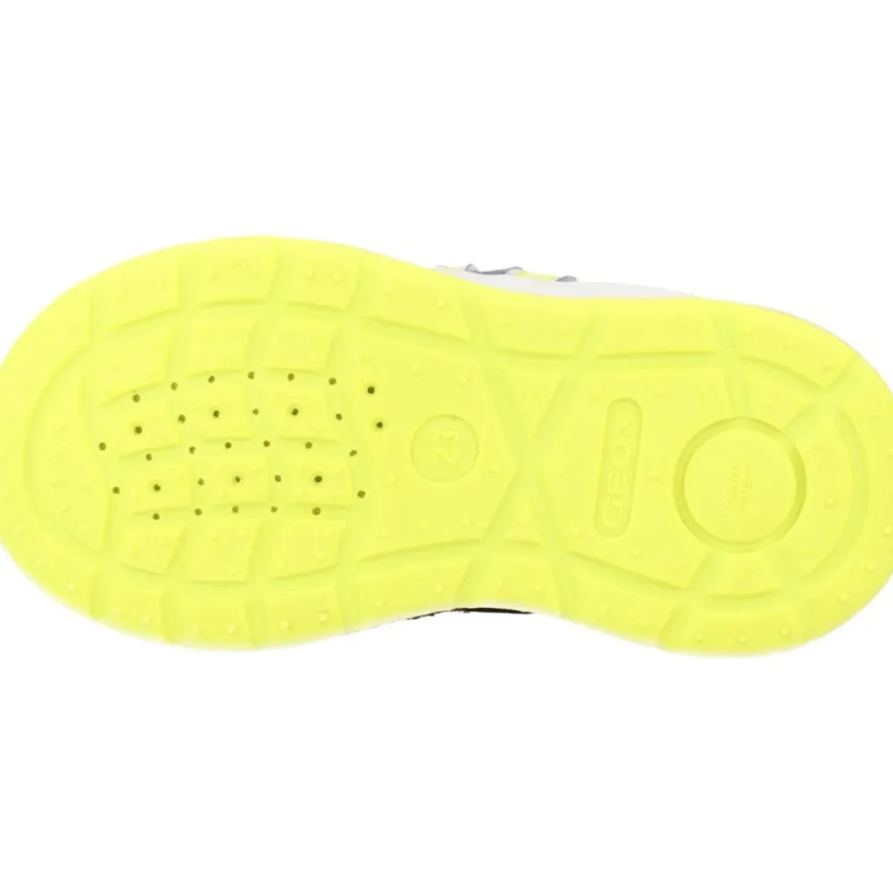 Dakin Sneakers>Geox Discount