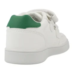 Eclyper><noscript><img width=