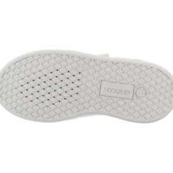 Eclyper><noscript><img width=