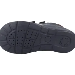 Elthan><noscript><img width=