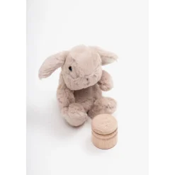 Geschenkset: Bodysuit 7er-Pack, Haarbürste und Zahndose.><noscript><img width=