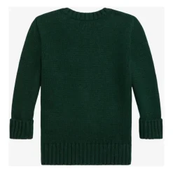 er Baumwollpullover Polo Bear Stickerei>Polo Ralph Lauren Best