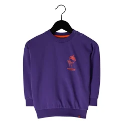 TEUN Pullover für Jungen>Z8 Best