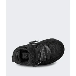 Lowmel><noscript><img width=