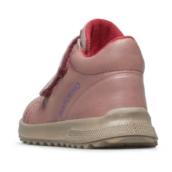 Parpar WP><noscript><img width=