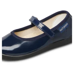 Pavia 2><noscript><img width=