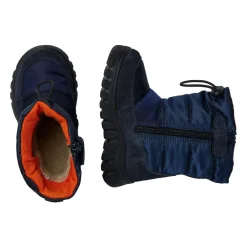 Poznurr Bear 2 WP>Falcotto Best