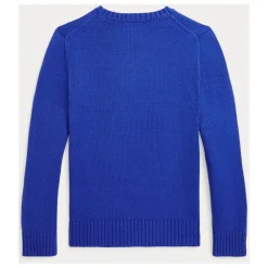 Royal Bear Pullover Sweater>Polo Ralph Lauren Clearance