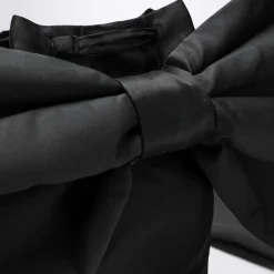 Secchiello><noscript><img width=