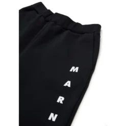 Shorts><noscript><img width=