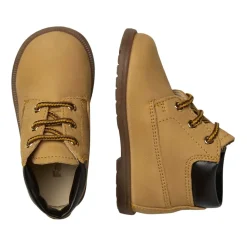 Stambecco Stiefeletten>Falcotto