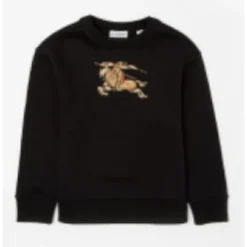 Sweatshirt>Burberry Online