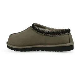 Tasman II><noscript><img width=