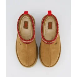 Tazz><noscript><img width=