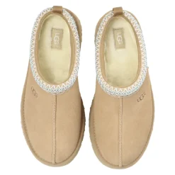 Tazz Slides><noscript><img width=