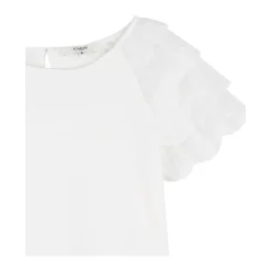 Top><noscript><img width=