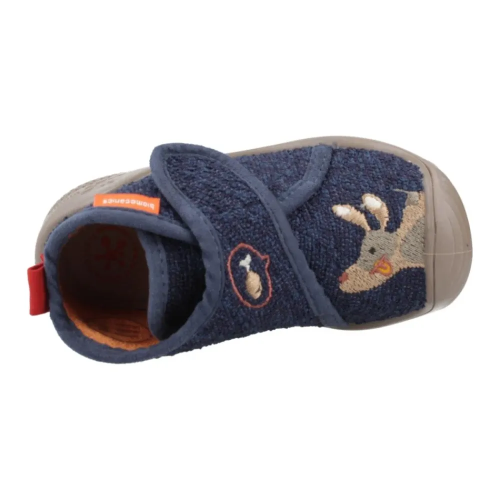 Zapatilla Woolf>Biomecanics Best